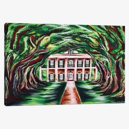 Oak Alley Canvas Print #CWH13} by Carrie White Canvas Artwork