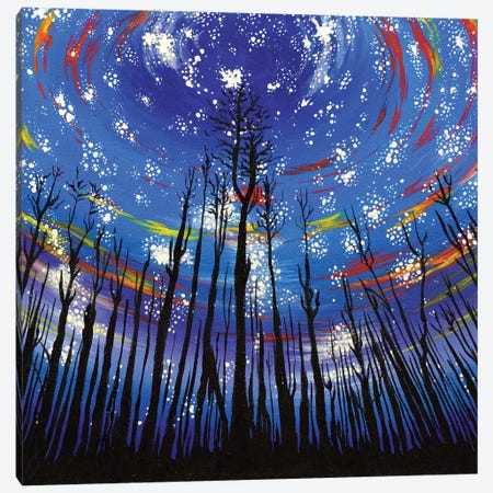 Starlit Forest Canvas Print #CWH20} by Carrie White Canvas Print