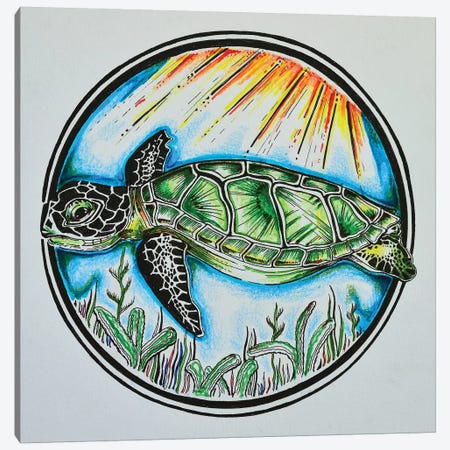 Turtle Canvas Print #CWH28} by Carrie White Canvas Art Print
