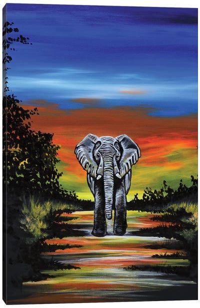 Elephant Canvas Art Print - Carrie White