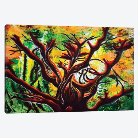 Manzanita Canvas Print #CWH8} by Carrie White Canvas Wall Art