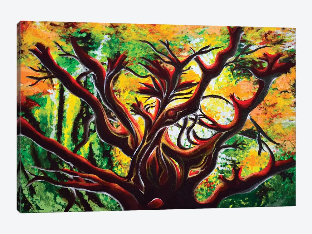 Manzanita by Carrie White 1-piece Canvas Print