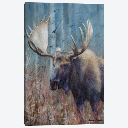 Fall Moose Study Canvas Print #CWJ13} by James Corwin Canvas Artwork