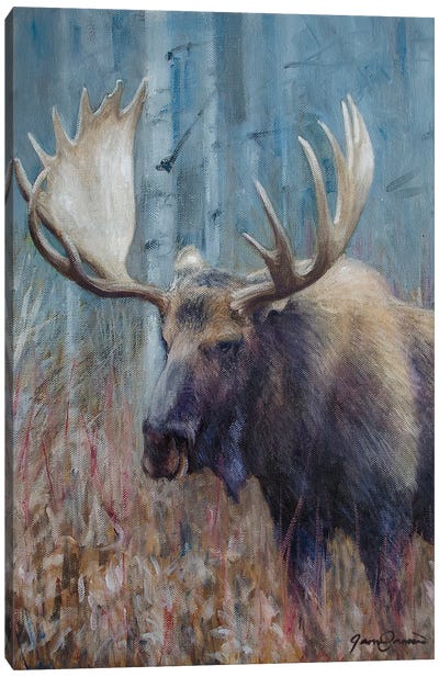 Fall Moose Study Canvas Art Print - Deer Art