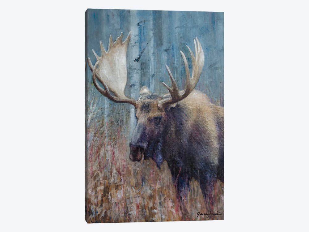 Fall Moose Study by James Corwin 1-piece Canvas Print