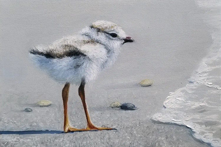 First Dip by James Corwin wall art