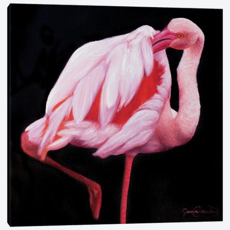Flamingo I Canvas Print #CWJ15} by James Corwin Art Print
