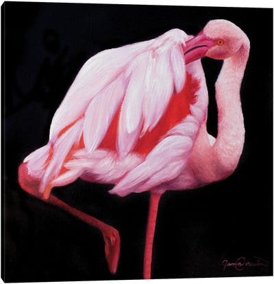 Flamingo I Canvas Art Print - James Corwin