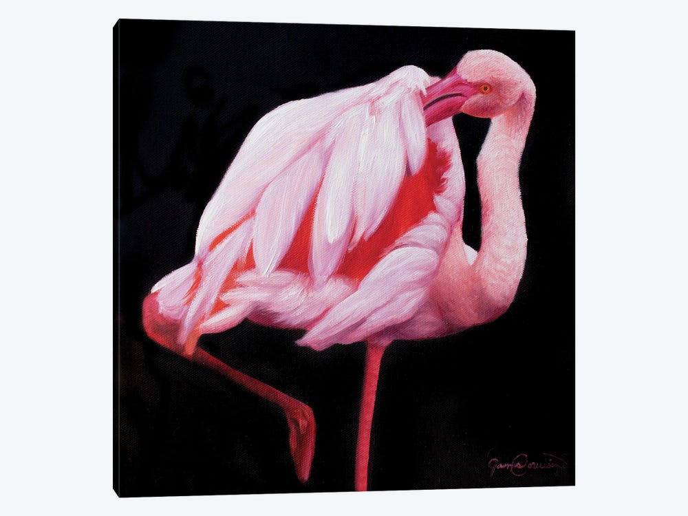 Flamingo I by James Corwin 1-piece Canvas Art Print