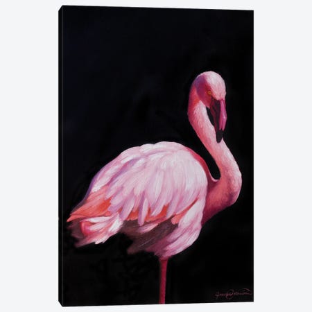 Flamingo II Canvas Print #CWJ16} by James Corwin Art Print