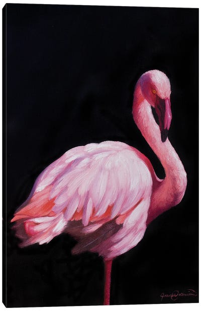 Flamingo II Canvas Art Print - James Corwin