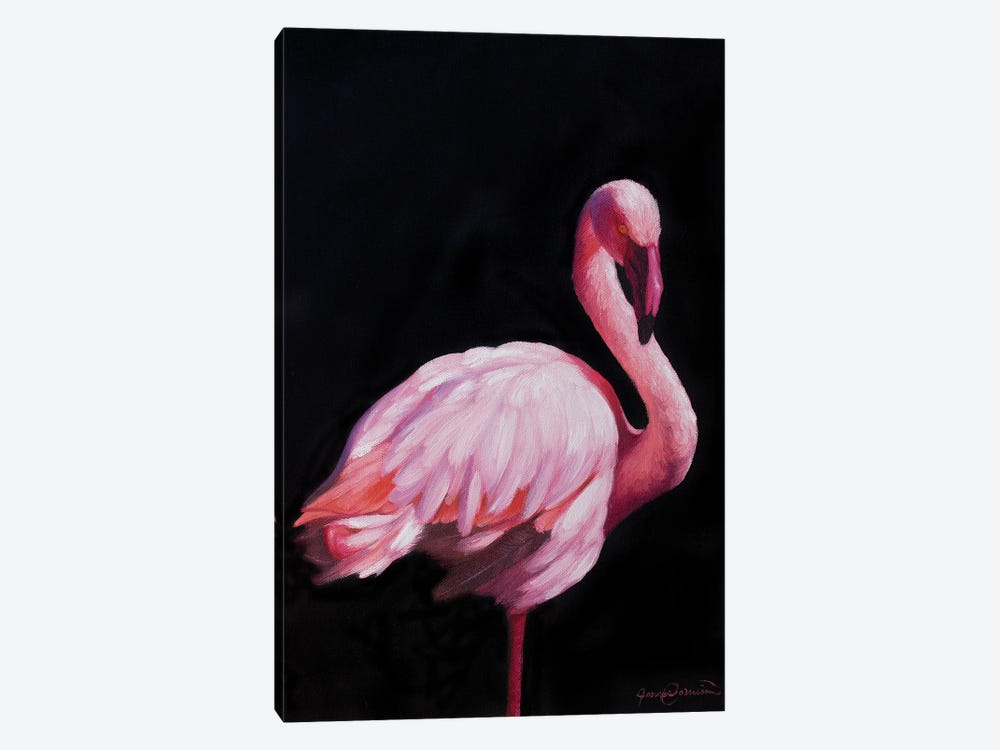 Flamingo II by James Corwin 1-piece Canvas Wall Art