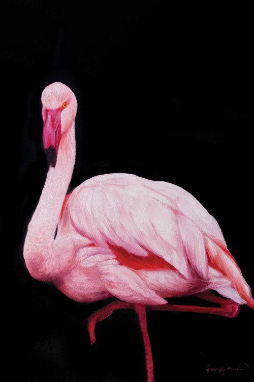 Flamingo III