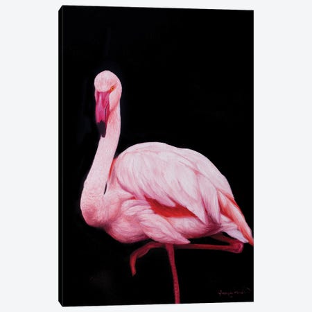 Flamingo III Canvas Print #CWJ17} by James Corwin Art Print