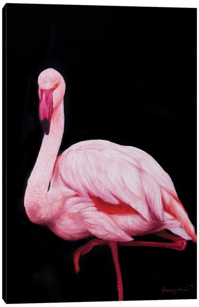 Flamingo III Canvas Art Print - James Corwin
