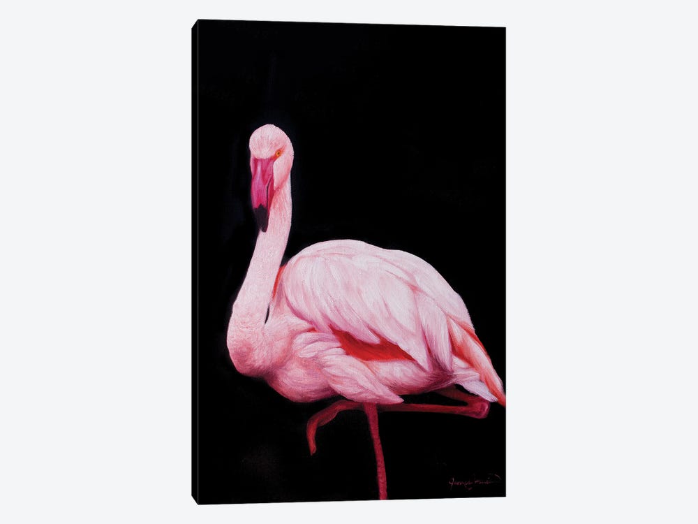 Flamingo III by James Corwin 1-piece Canvas Art Print