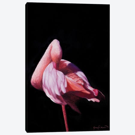 Flamingo IV Canvas Print #CWJ18} by James Corwin Canvas Art