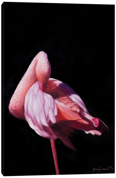 Flamingo IV Canvas Art Print - James Corwin