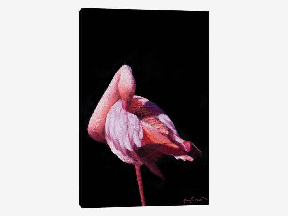Flamingo IV by James Corwin 1-piece Canvas Art