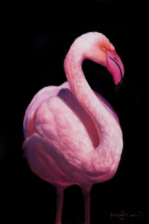 Flamingo V