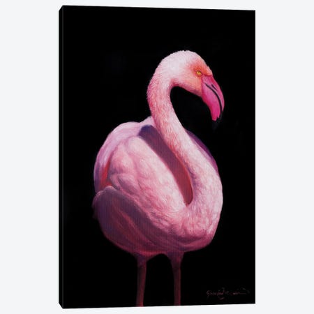 Flamingo V Canvas Print #CWJ19} by James Corwin Canvas Wall Art