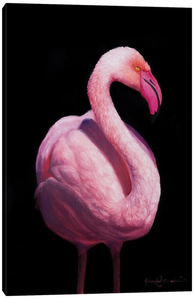 Flamingo V Canvas Art Print