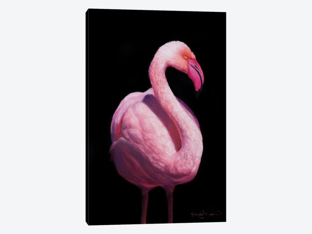 Flamingo V by James Corwin 1-piece Canvas Print