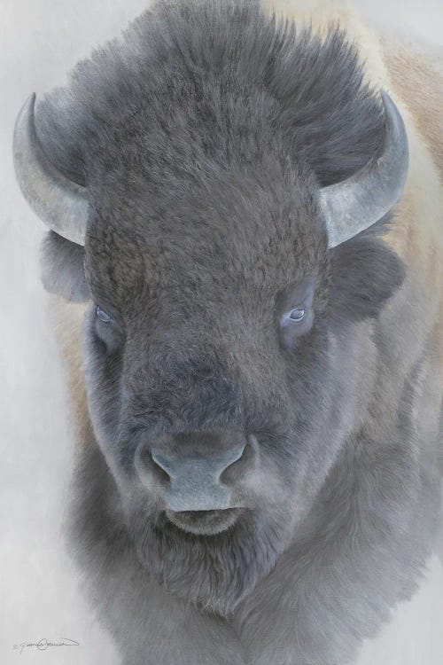 Big Bison