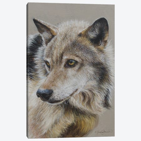 Portrait Of A Wolf Canvas Print #CWJ20} by James Corwin Art Print