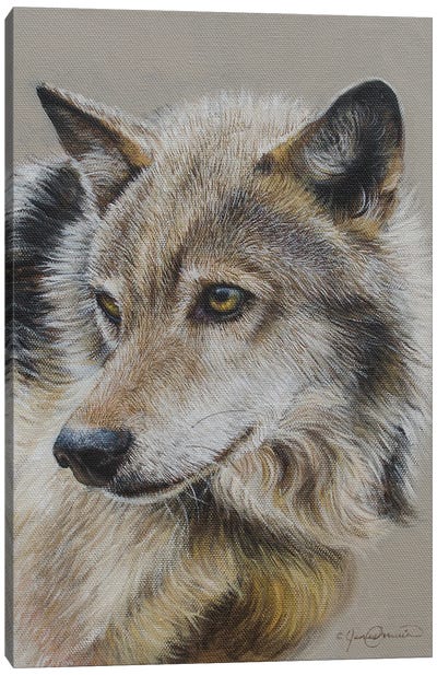 Portrait Of A Wolf Canvas Art Print - James Corwin