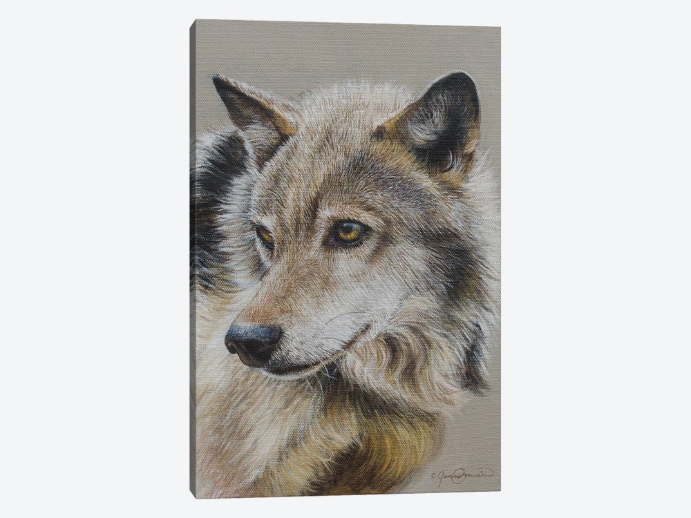 Portrait Of A Wolf by James Corwin 1-piece Canvas Print