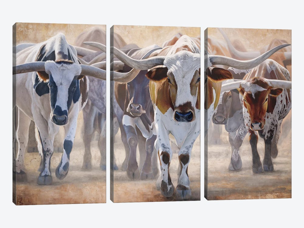 The Heart Of Chisholm Trail II by James Corwin 3-piece Canvas Wall Art
