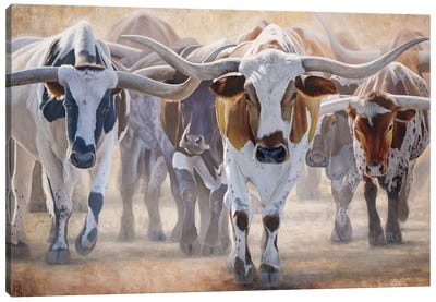 The Heart Of Chisholm Trail II Canvas Art Print - Cow Art