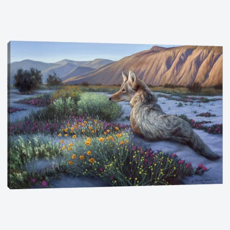 Desert Coyote Canvas Print #CWJ2} by James Corwin Canvas Artwork