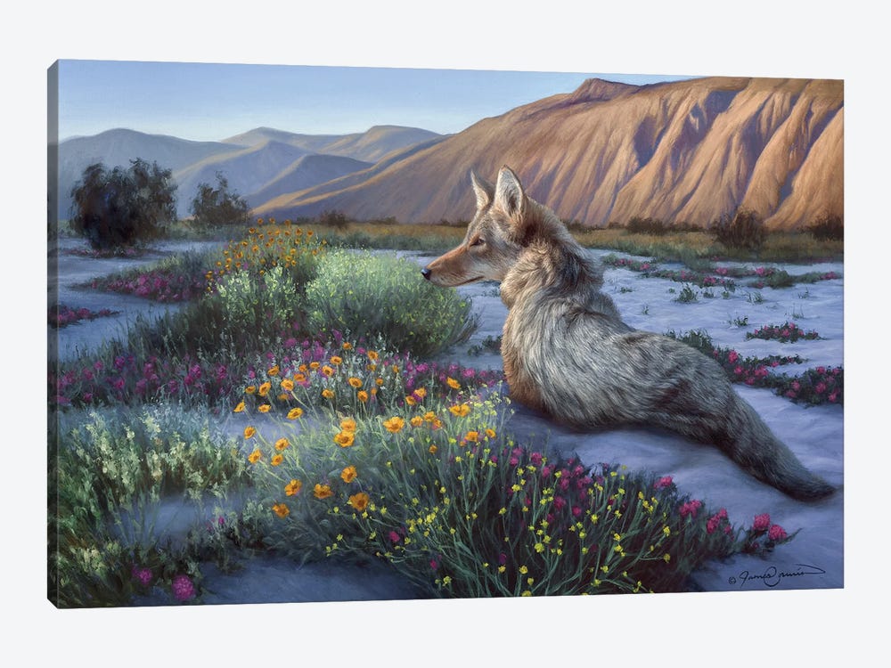 Desert Coyote by James Corwin 1-piece Canvas Art Print