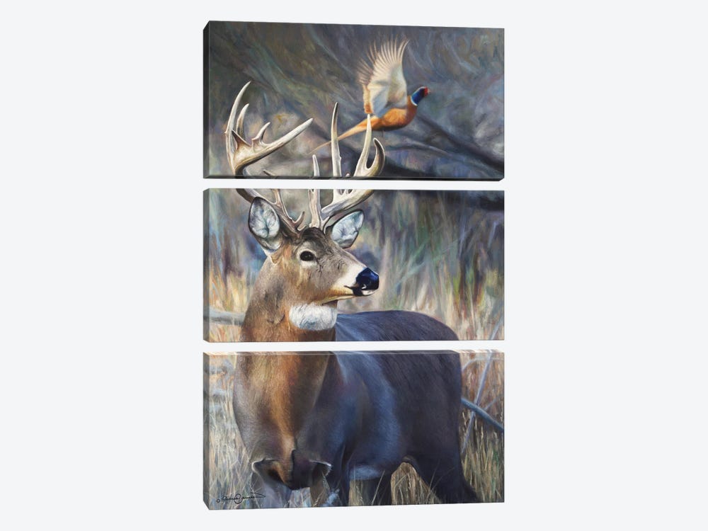 Twig Snap by James Corwin 3-piece Canvas Wall Art