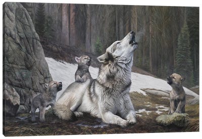Unison Canvas Art Print - Wolf Art