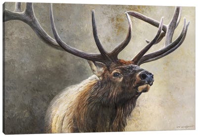 The Sentinel Canvas Art Print - Elk Art