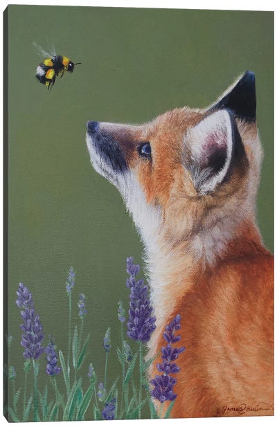 Little Fox And Bumblebee Canvas Art Print - Bluebonnet Art
