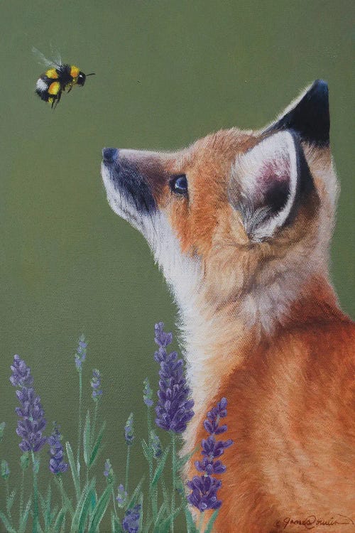 Little Fox And Bumblebee