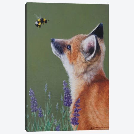 Little Fox And Bumblebee Canvas Print #CWJ7} by James Corwin Art Print