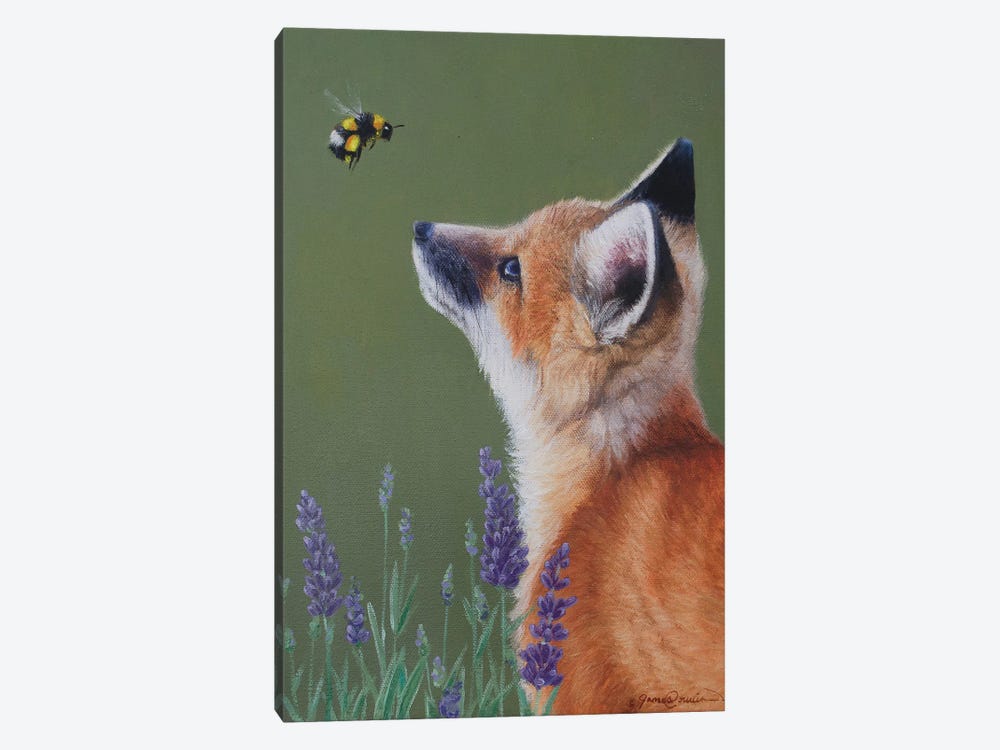 Little Fox And Bumblebee by James Corwin 1-piece Canvas Wall Art