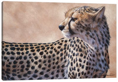 The Last Light II Canvas Art Print - Cheetah Art