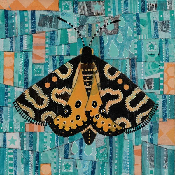 Golden Sun Moth