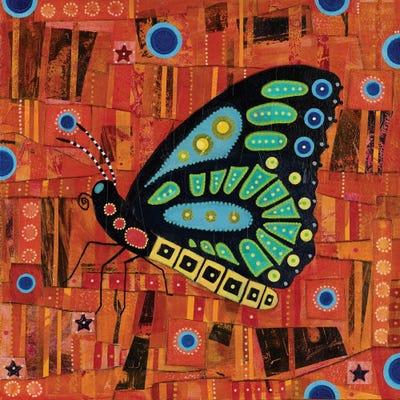 Charlotte Wensley - Steelpix Metal Wall Art: Richmond Birdwing Butterfly by Charlotte Wensley