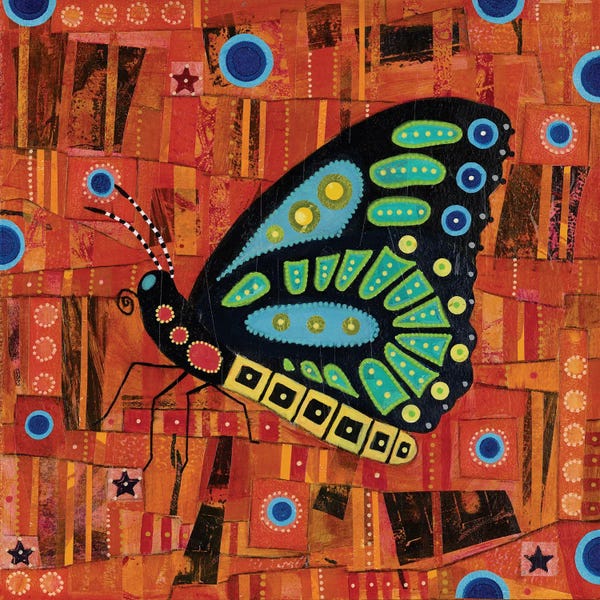Richmond Birdwing Butterfly
