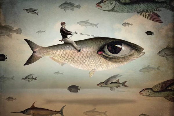 Imagination: That’s My Way by Catrin Welz-Stein