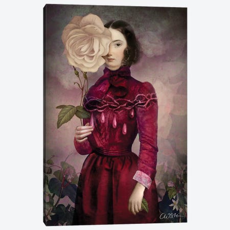 The Intriguer Canvas Print #CWS106} by Catrin Welz-Stein Canvas Art