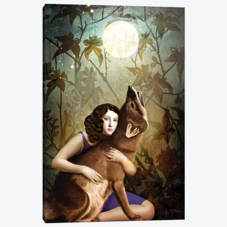 The Moon II Canvas Print #CWS108} by Catrin Welz-Stein Canvas Print