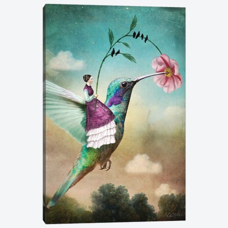Of Wands Canvas Print #CWS116} by Catrin Welz-Stein Canvas Art Print
